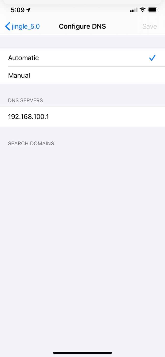 iPhone configuration DNS address