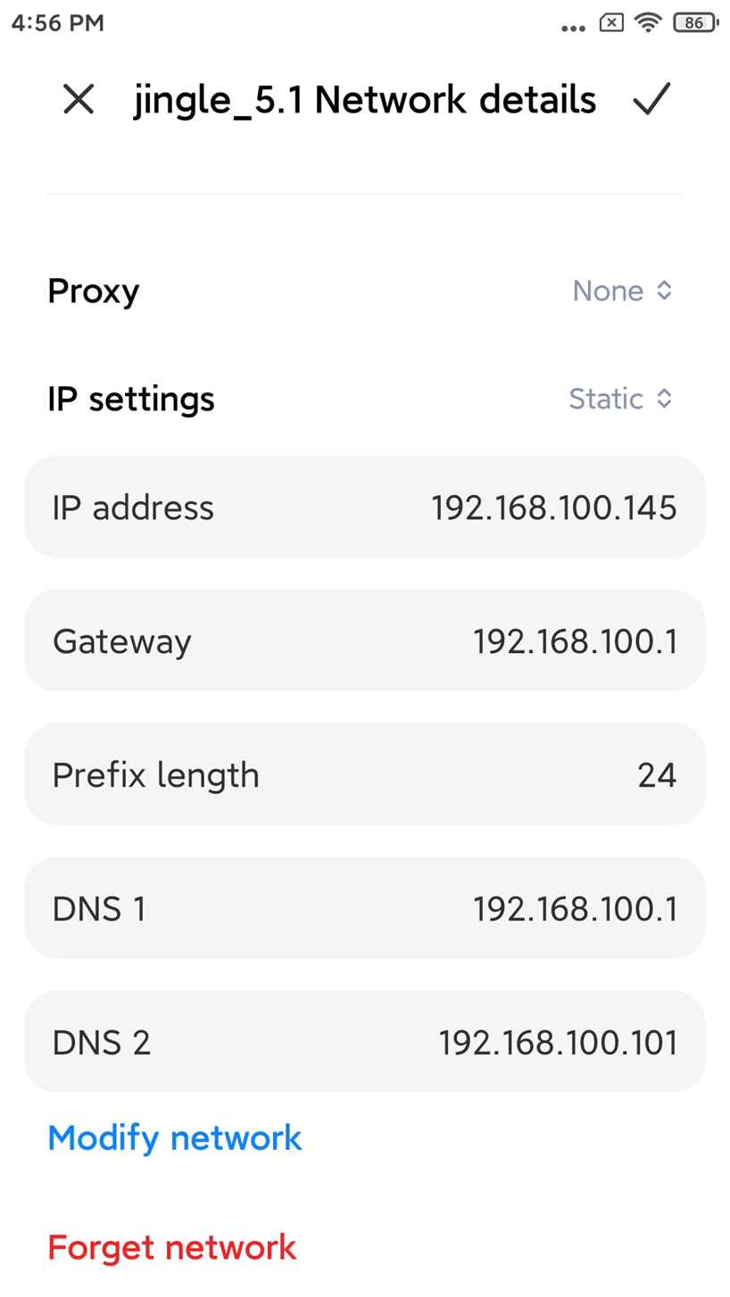 Android phone to check DNS address