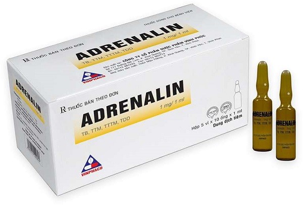 Adrenalin (epinephrin): Thuốc quan trọng trong hồi sức cấp cứu