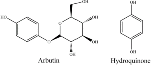 Arbutin là gì? Tác dụng của Arburtin với làn da.