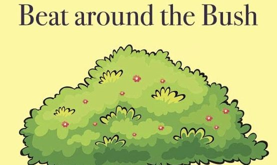 Beat Around The Bush là gì và cấu trúc Beat Around The Bush trong Tiếng Anh