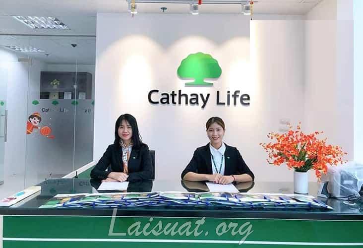 Bảo hiểm Cathay Life có phải Đa Cấp? 2023 Cathay Life Lừa đảo hay Uy tín?