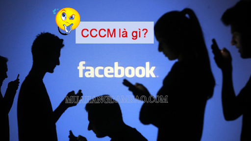 CCCM có nghĩa là gì? Nguồn gốc và ý nghĩa của từ CCCM