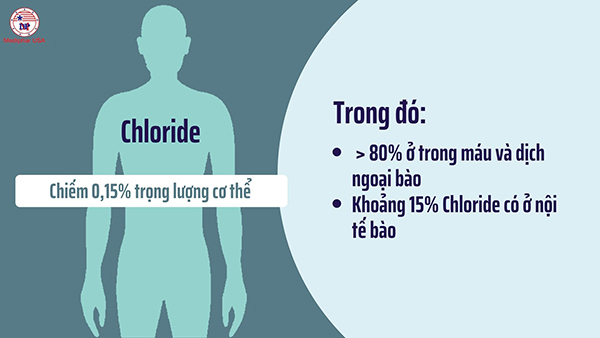 Chloride: Khoáng chất và chất điện giải quan trọng với sức khỏe