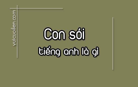 Con sói tiếng anh là gì và đọc như thế nào cho đúng