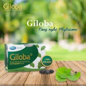 Thuốc bổ não Giloba 40 mg có tốt không? Lưu ý khi dùng