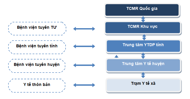 Hệ thống giám sát bệnh trong TCMR