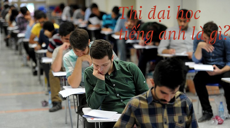 Kỳ thi đại học tiếng Anh là gì, định nghĩa, ví dụ Anh Việt