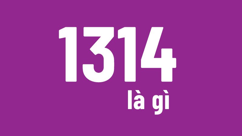 1314 có nghĩa là Trọn đời trọn kiếp
