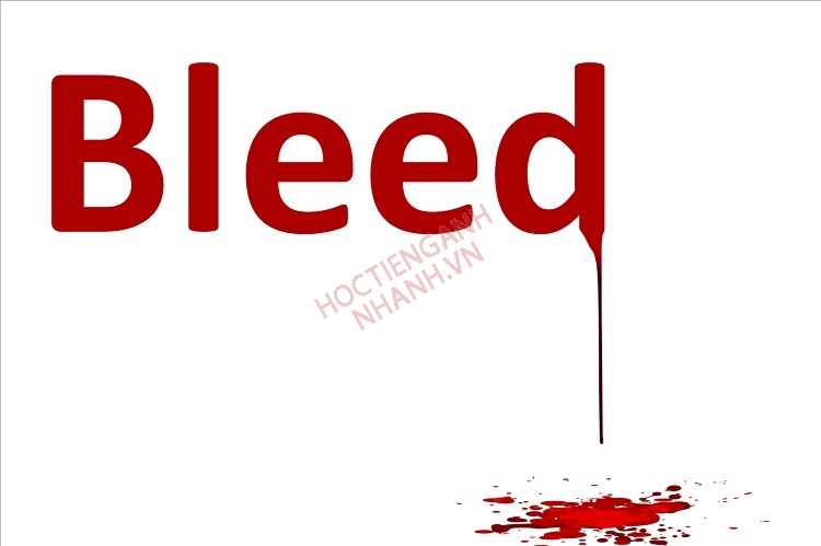 Quá khứ của bleed là gì? Chia dộng từ bleed theo thì và dạng đặc biệt