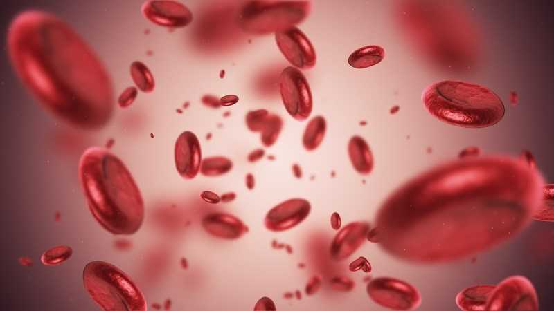Đậu Fava cải thiện các triệu chứng thiếu máu