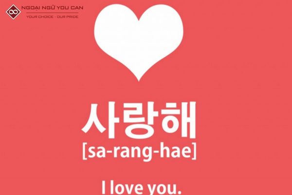Anh Yêu Em Trong Tiếng Hàn Quốc: Từ Vựng & Cách Nói Chuẩn