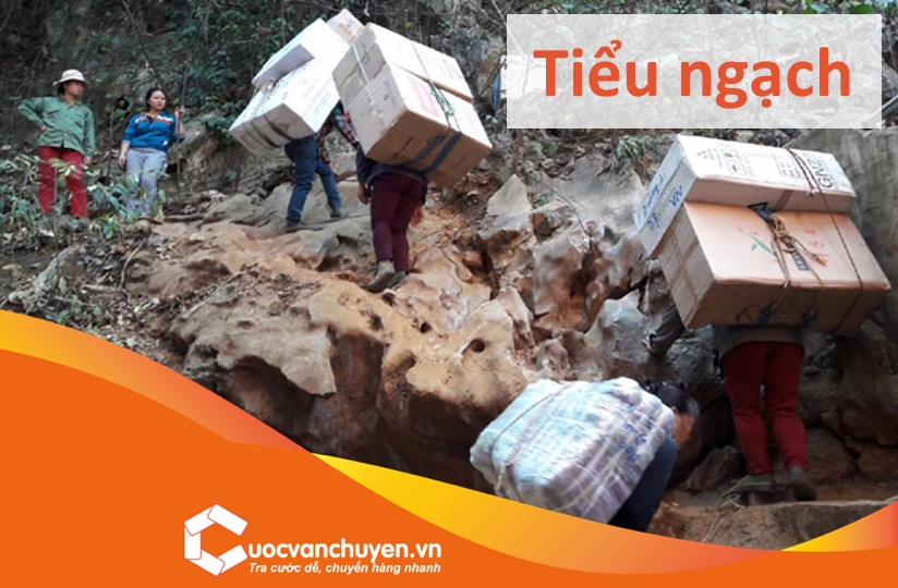 "Tiểu Ngạch" trong Tiếng Anh là gì: Định Nghĩa, Ví Dụ Anh Việt