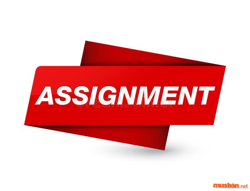 Assignment là gì? Những lưu ý để thực hiện Assignment chất lượng, đạt kết quả cao