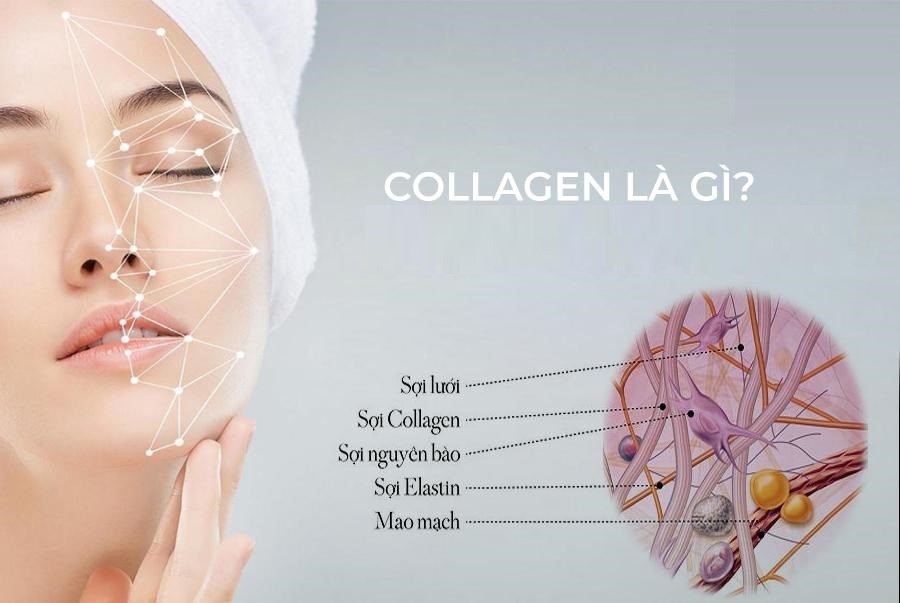 Collagen là gì? Có phải là ‘thần dược’ cho sức khỏe và làn da?