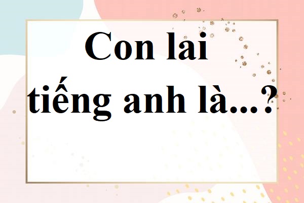 "Con Lai" trong Tiếng Anh là gì: Định Nghĩa, Ví Dụ Anh Việt