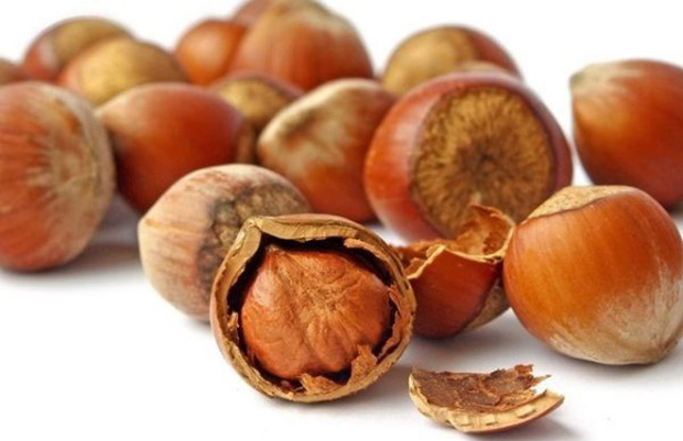 Hazelnut hay hạt phỉ là gì? Và những điều cần biết