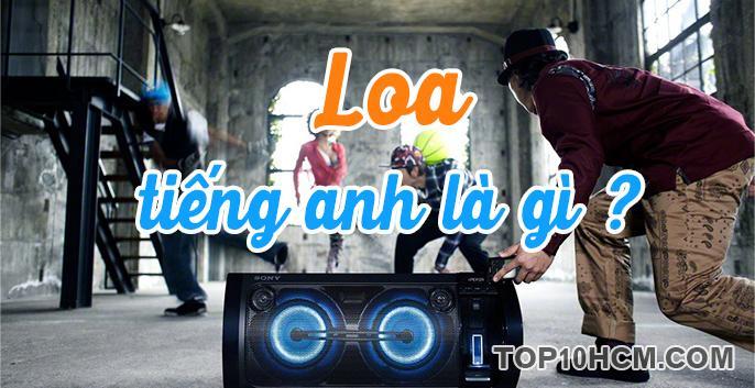 "Loa" trong Tiếng Anh là gì: Định Nghĩa, Ví Dụ Anh Việt
