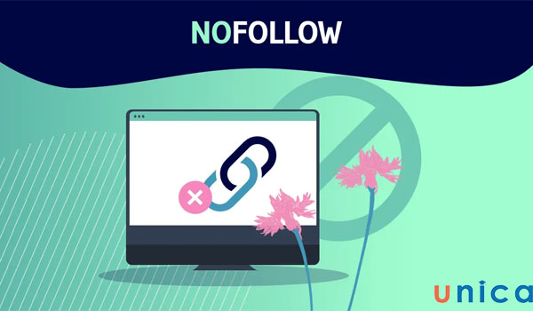 Link nofollow là gì? Những điều cần biết về cách đặt thẻ rel=nofollow trong website