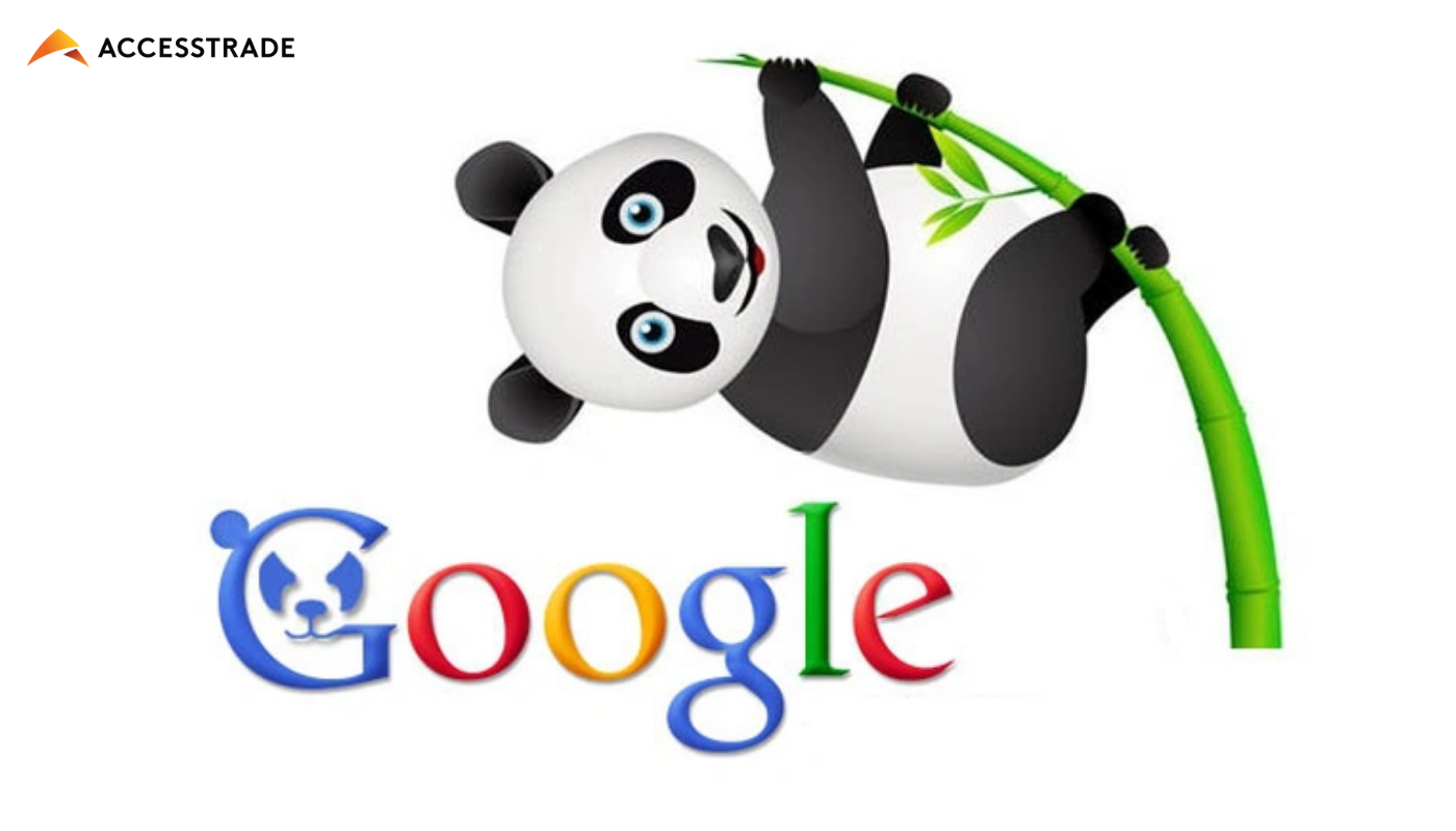 Google Panda là gì? Cách khắc phục những vi phạm Google Panda