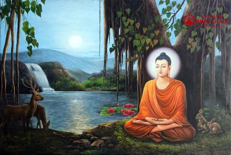 Phật giáo là gì? Khám phá các bí mật chưa từng tiết lộ về Phật giáo