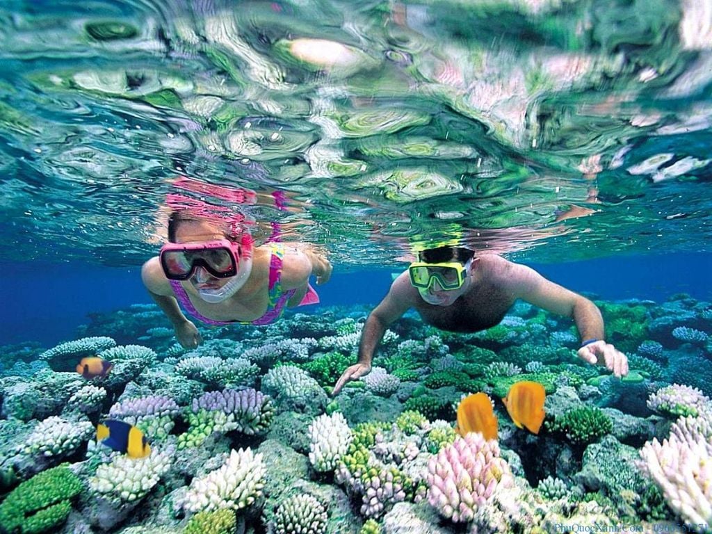 Phân biệt giữa lặn Snorkeling ( lặn ống thở) và Diving ( lặn bình dưỡng khí )
