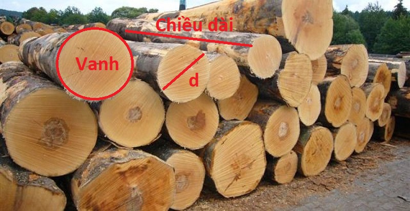 Cách đo gỗ khối đơn giản, chính xác 100%