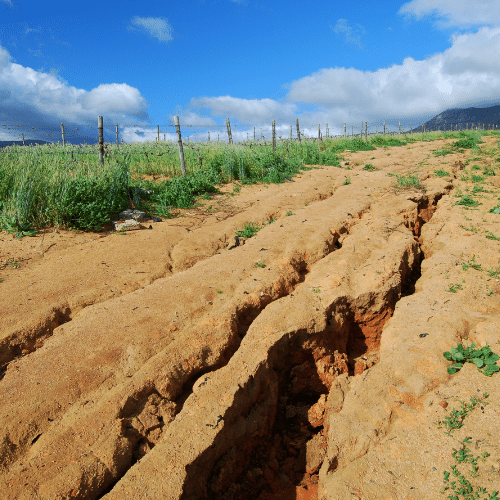Hiện tượng xói mòn đất và các biện pháp khắc phục